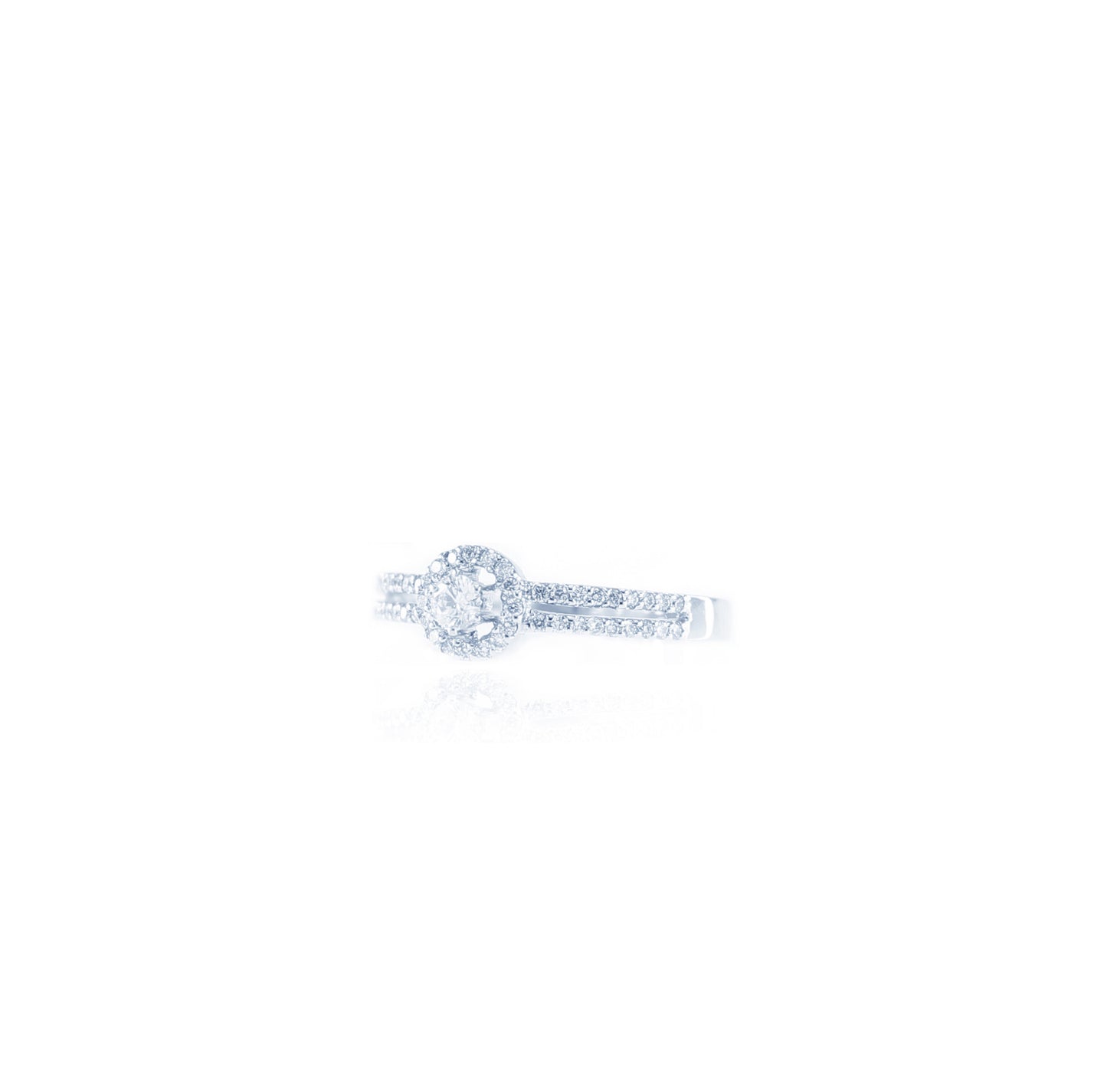 Double Shank Cirque Solitaire Diamond Ring in 18K White Gold