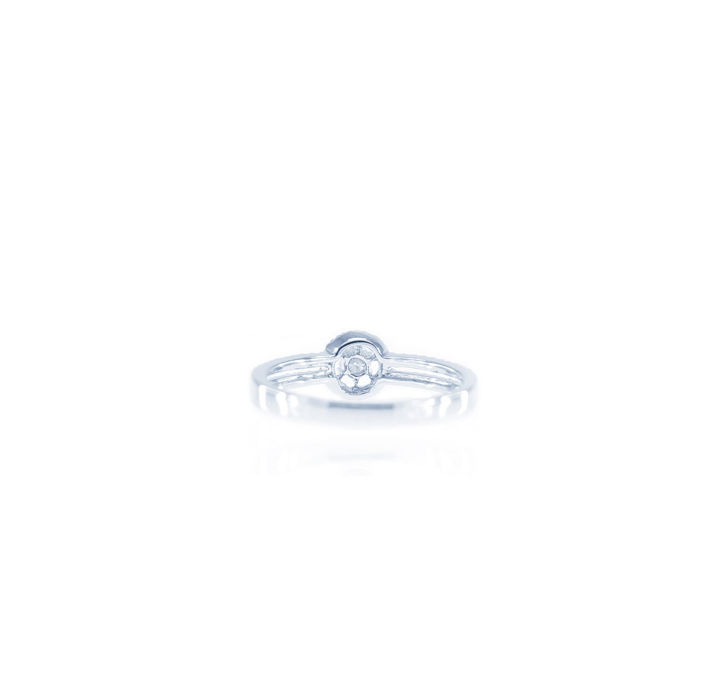 Double Shank Cirque Solitaire Diamond Ring in 18K White Gold