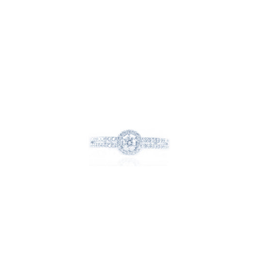 Double Shank Cirque Solitaire Diamond Ring in 18K White Gold